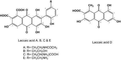 圖片1.png 圖片1.png
